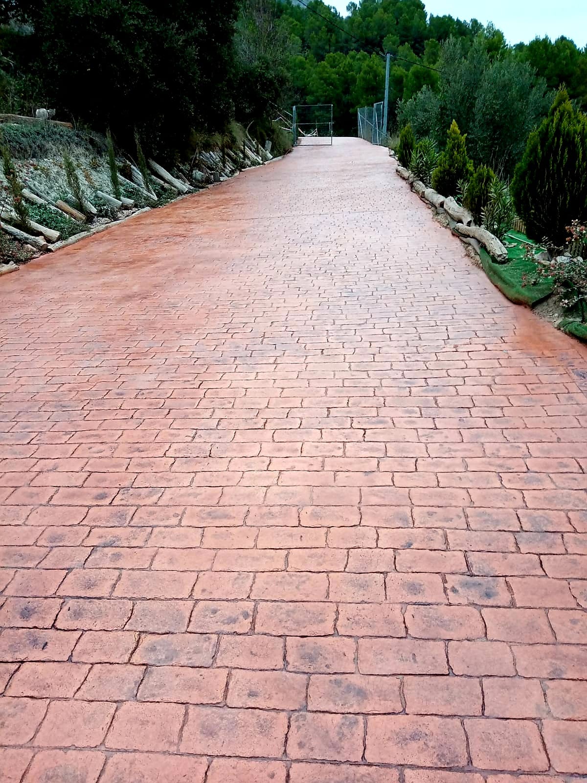 HOME 12 IMG-20241120-WA0284